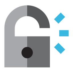 custom_website